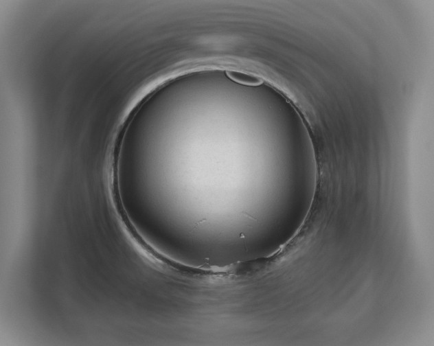 X0000113021523200909031221