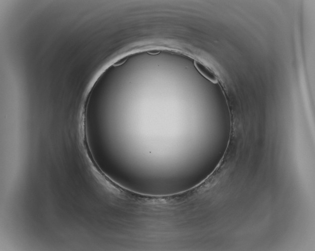 X0000113021524200909031221