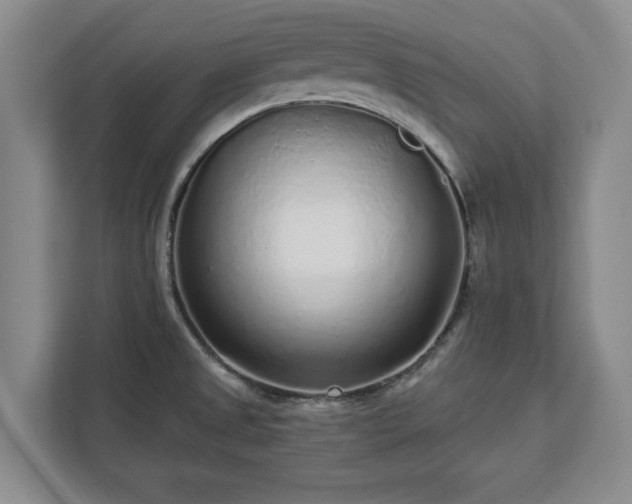 X0000113021525200909031221
