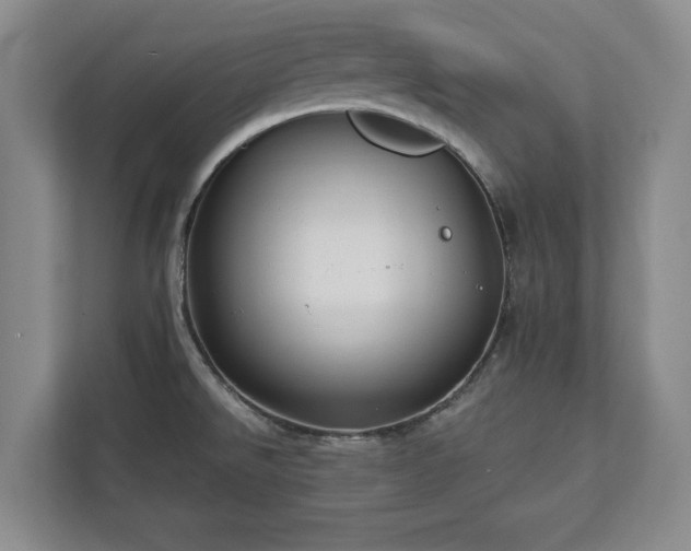 X0000113021526200909031221