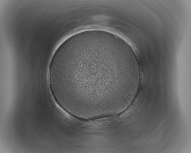 X0000113021527200909031221