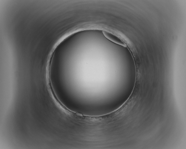 X0000113021528200909031221