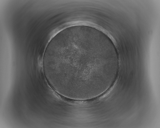 X0000113021529200909031221