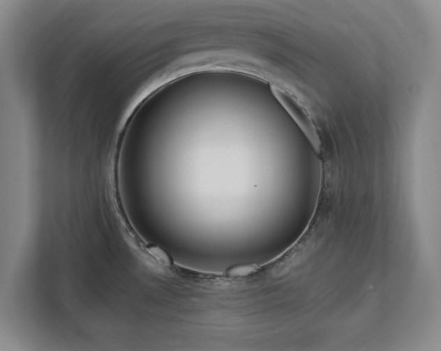 X0000113021530200909031221
