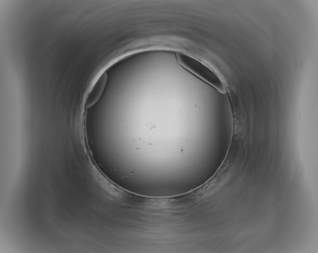X0000113021532200909031221