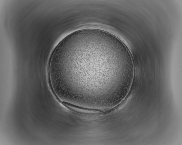 X0000113021533200909031221