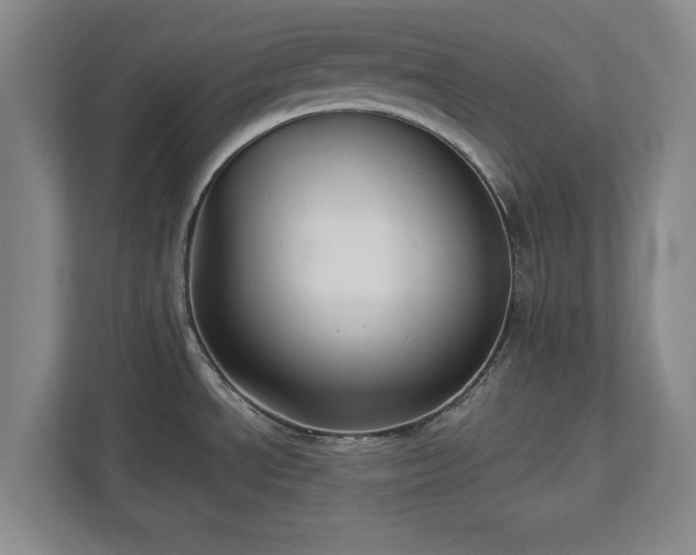 X0000113021534200909031221