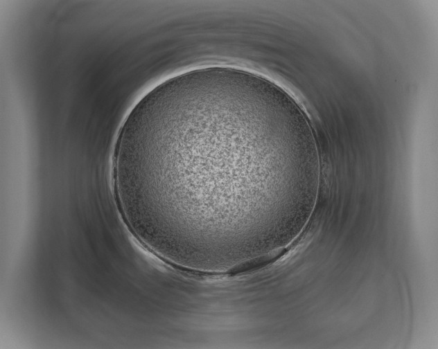 X0000113021535200909031221