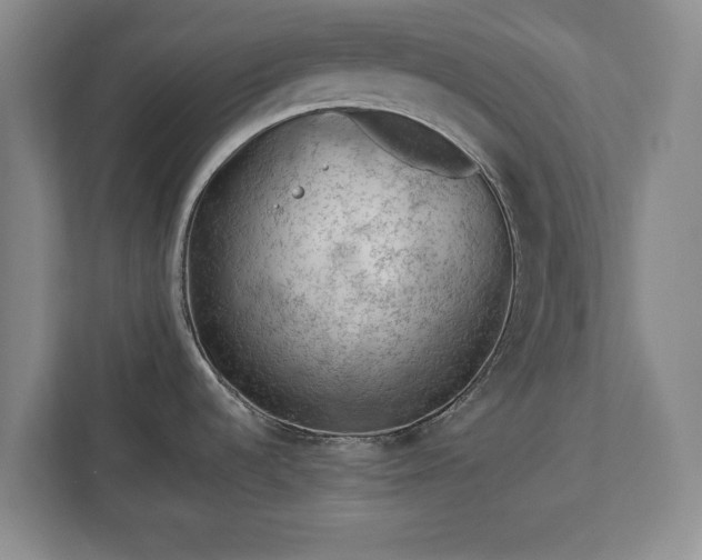 X0000113021536200909031221