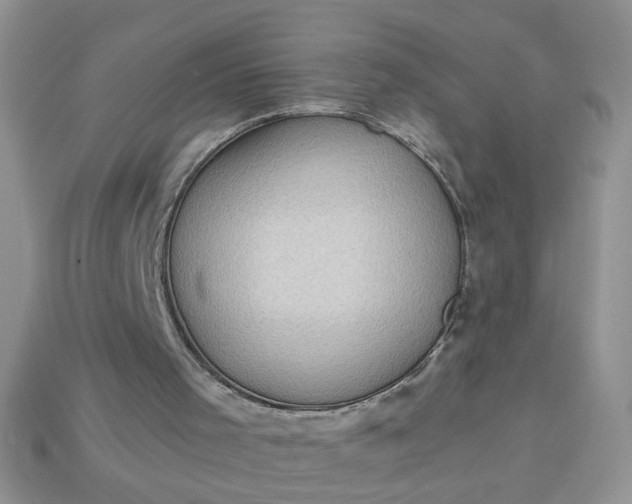 X0000113020001200909101847