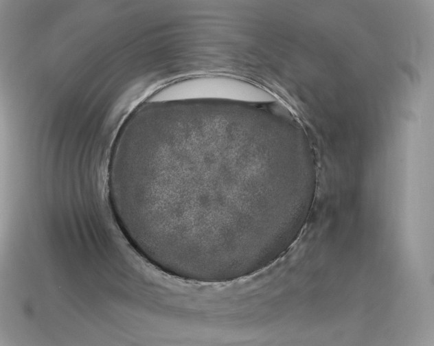 X0000113020002200909101847