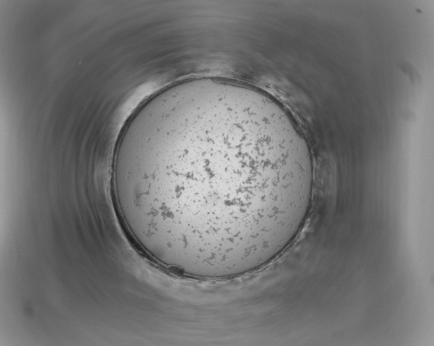 X0000113020003200909101847