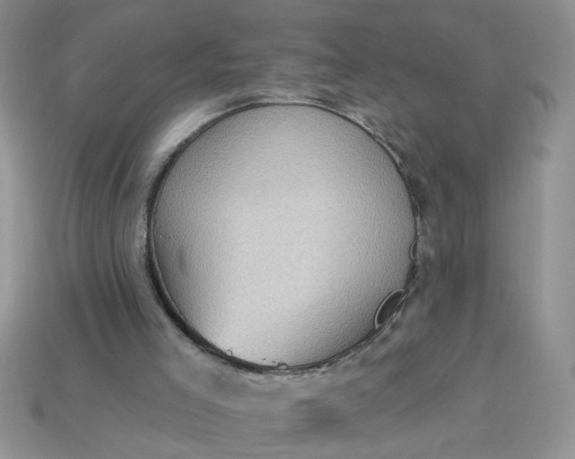 X0000113020005200909101847