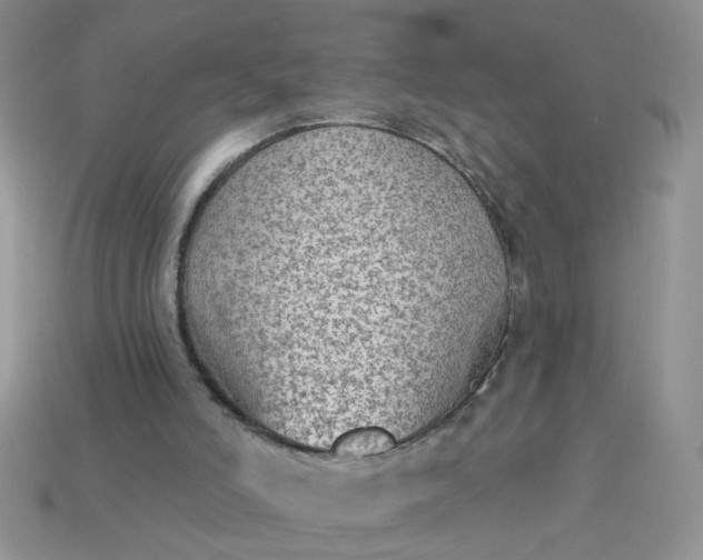 X0000113020006200909101847