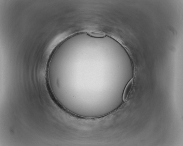 X0000113020007200909101847