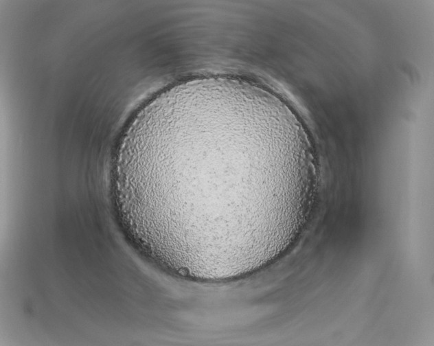 X0000113020010200909101847