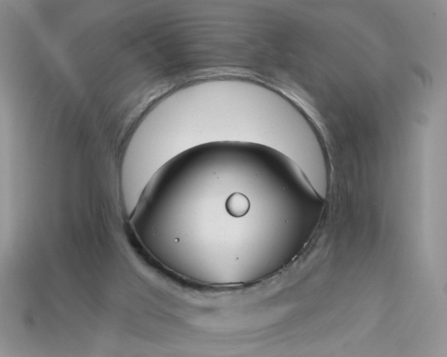 X0000113020013200909101847