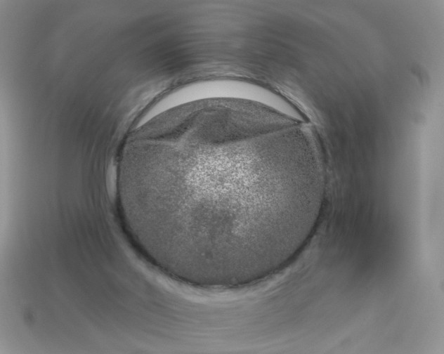 X0000113020014200909101847