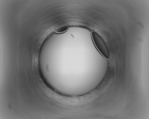 X0000113020015200909101847