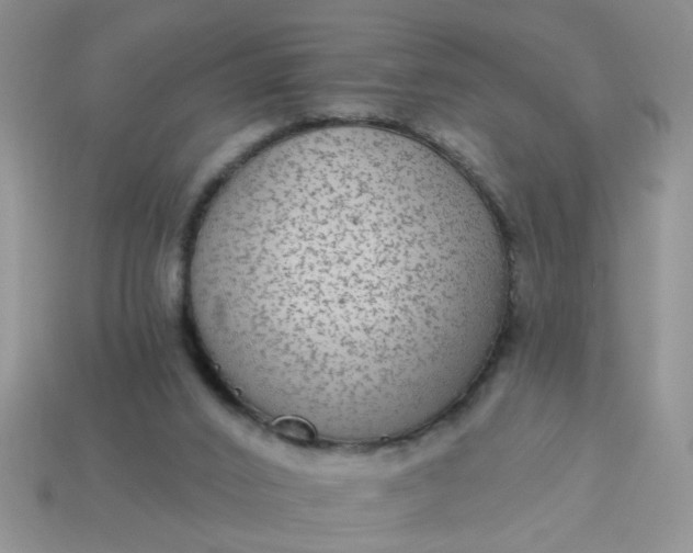 X0000113020016200909101847