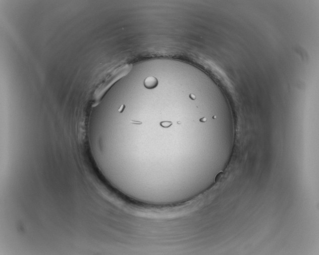 X0000113020017200909101847