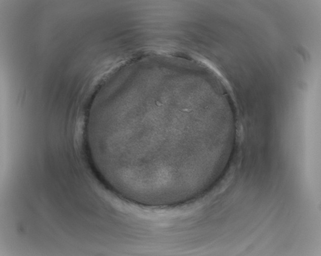 X0000113020018200909101846