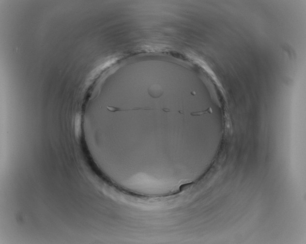 X0000113020019200909101846