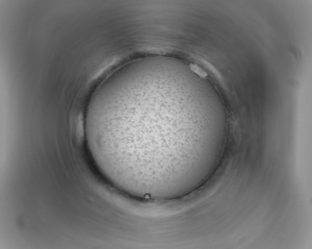 X0000113020020200909101846