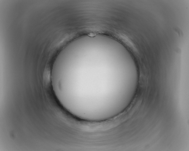 X0000113020021200909101846