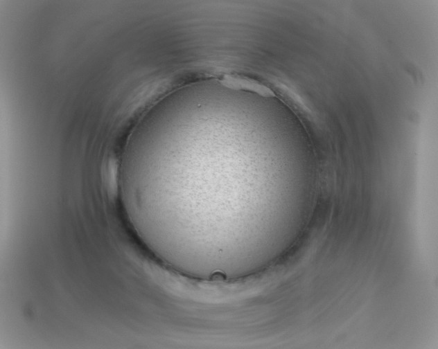 X0000113020022200909101846