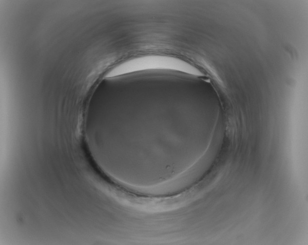 X0000113020023200909101846