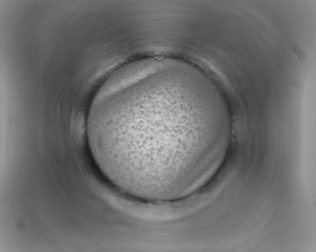 X0000113020024200909101846