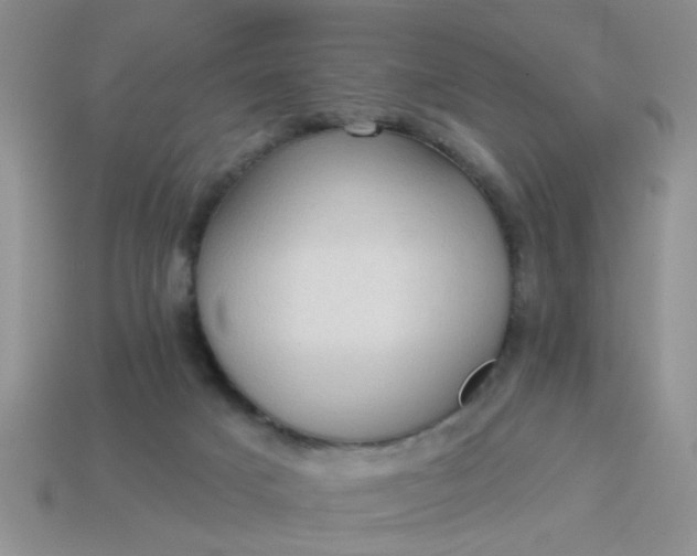 X0000113020025200909101846