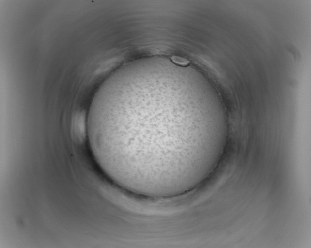 X0000113020028200909101846