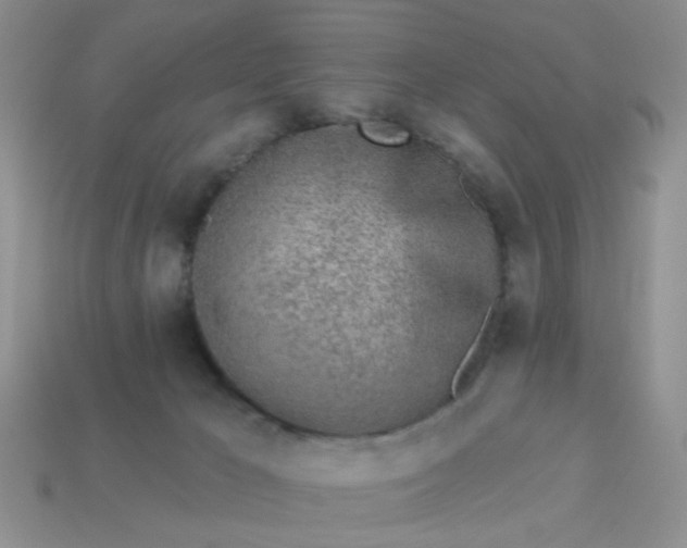 X0000113020029200909101846