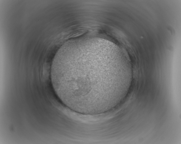 X0000113020030200909101846