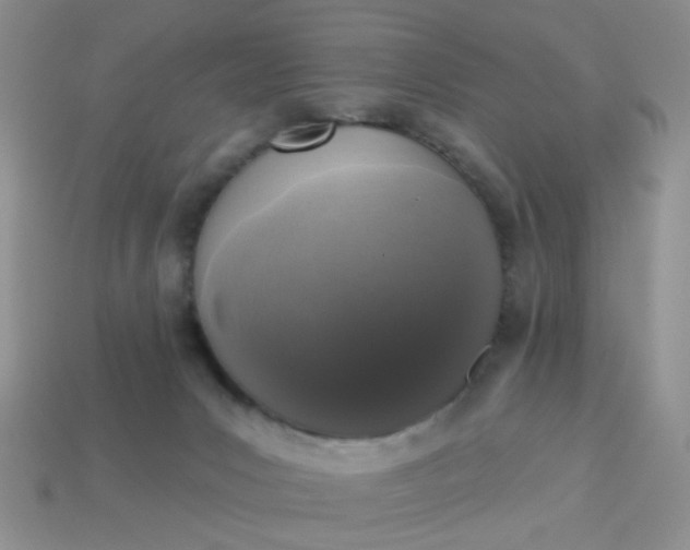 X0000113020031200909101846