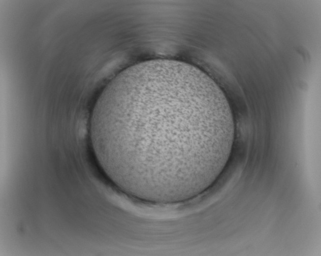 X0000113020032200909101846