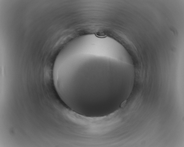 X0000113020035200909101846