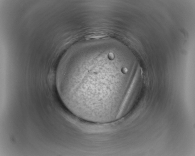 X0000113020036200909101846