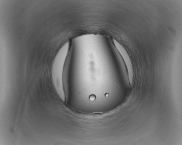 X0000113020037200909101846