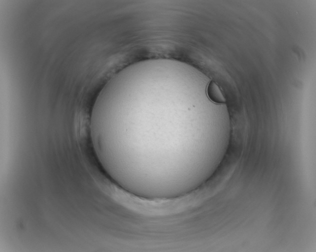 X0000113020038200909101846