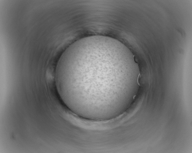 X0000113020040200909101846