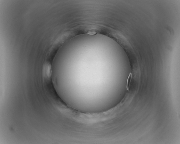 X0000113020041200909101846