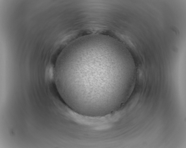 X0000113020042200909101846