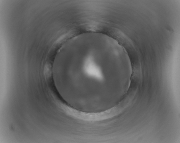 X0000113020043200909101846