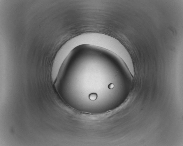 X0000113020045200909101846