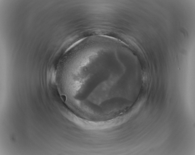 X0000113020046200909101846