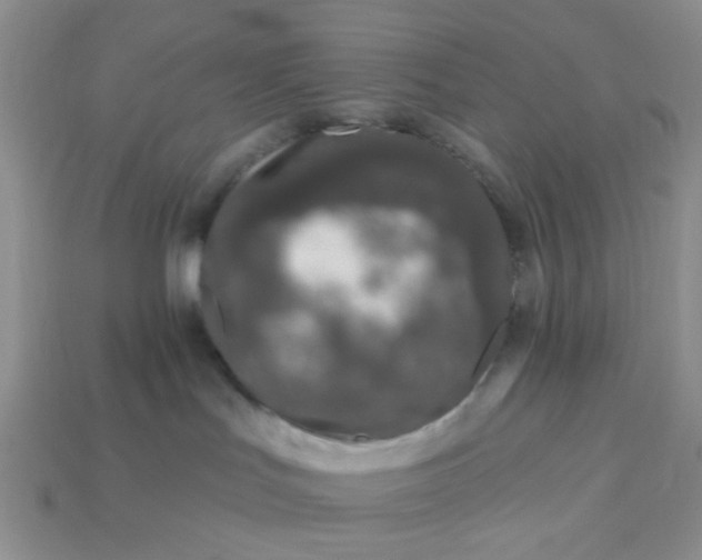 X0000113020047200909101846