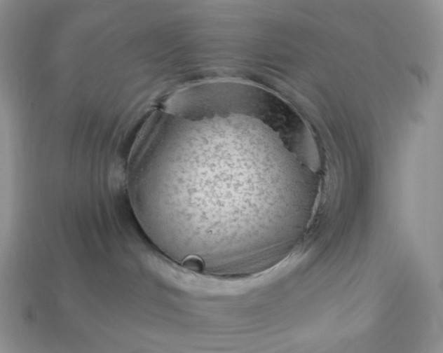 X0000113020048200909101846